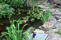 Pond Aeration Installers Rochester NY