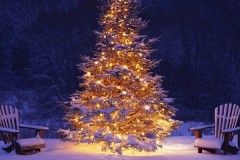 OutDoor Christmas Lighting Designers Rochester NY